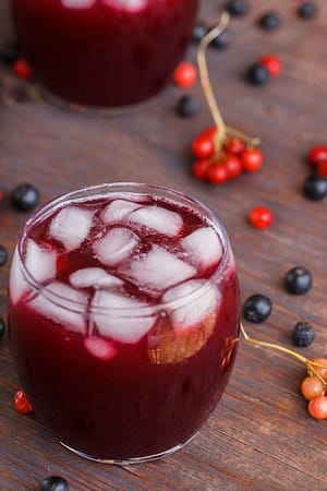 Aronia juice in glass with ice