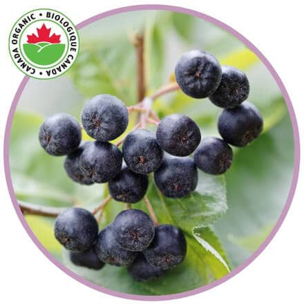 Aronia berries with Canadian organic Logo