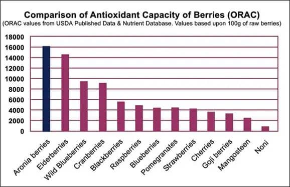 Comparison of Orac values of different fruits like the Aronia berry
